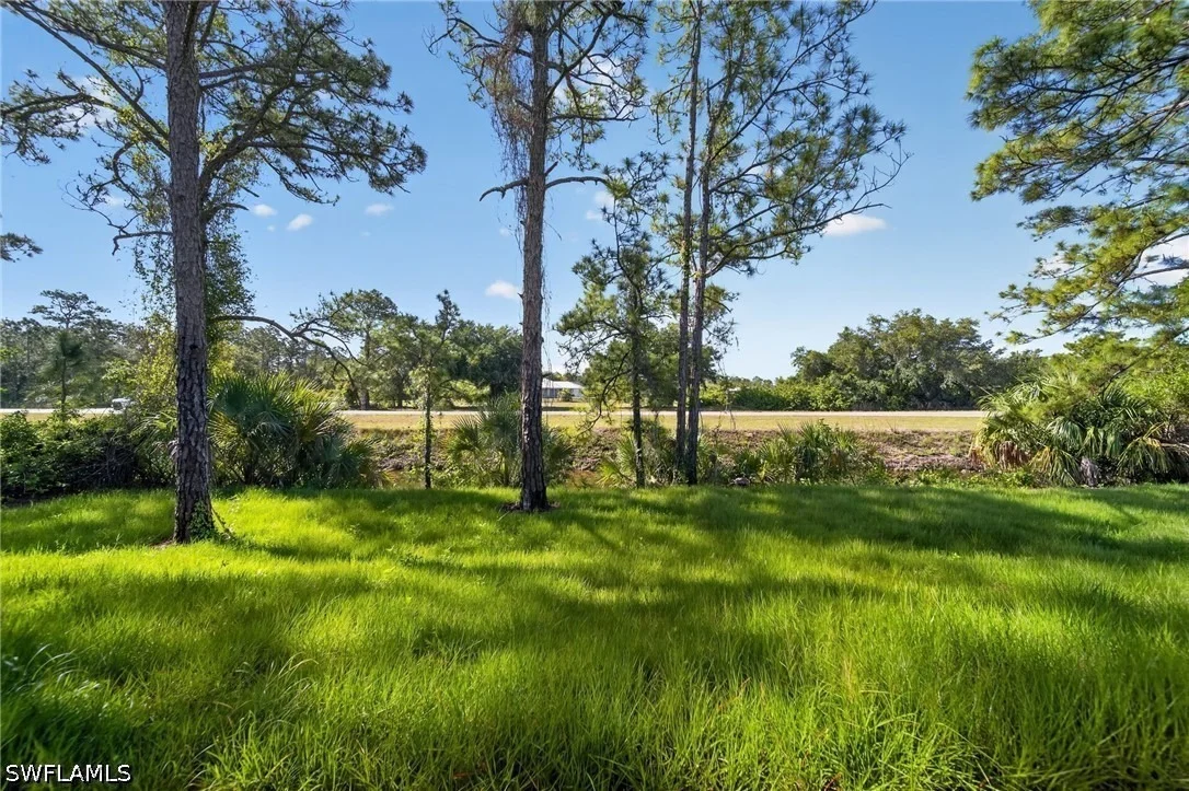 Photo of 2009 Dixie Way