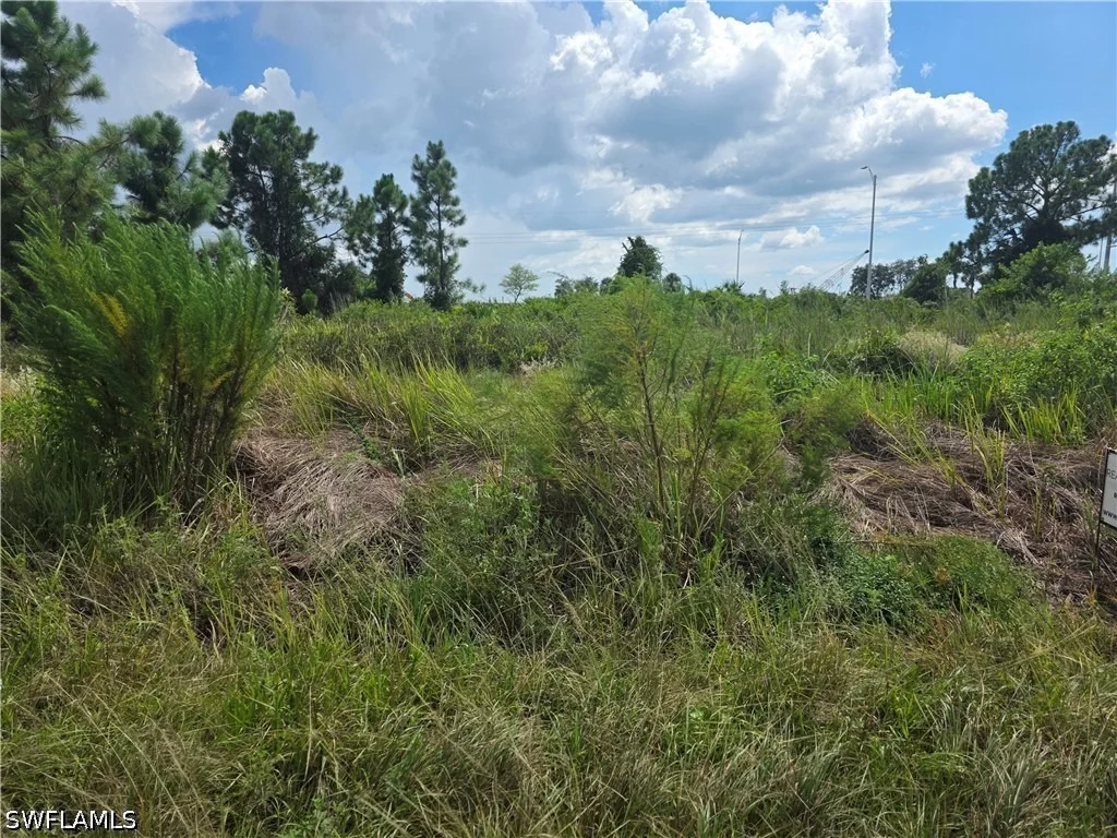 Photo of 3046 Meadow Road