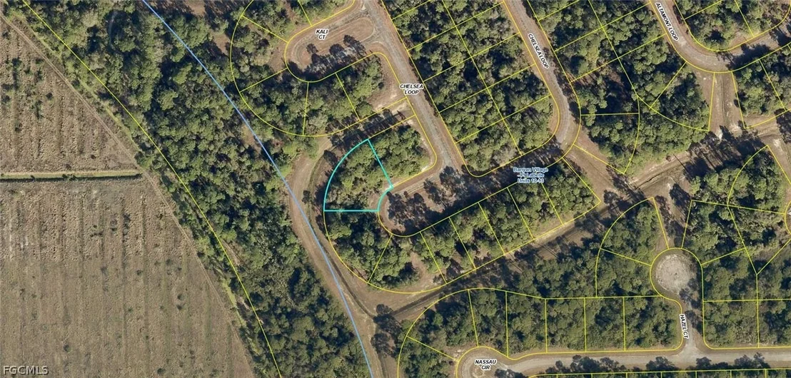 Photo of 431 Chelsea Loop