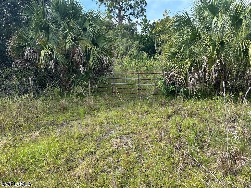 Photo of 1020 Limpkin Road