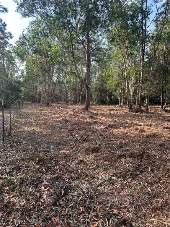 Photo of 