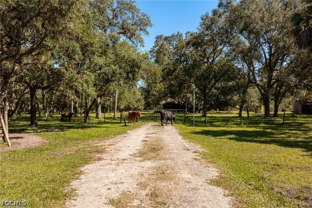 Photo of 2348 Nine Mile Road