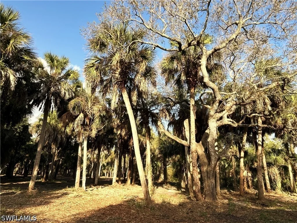 Photo of 2250 North Road