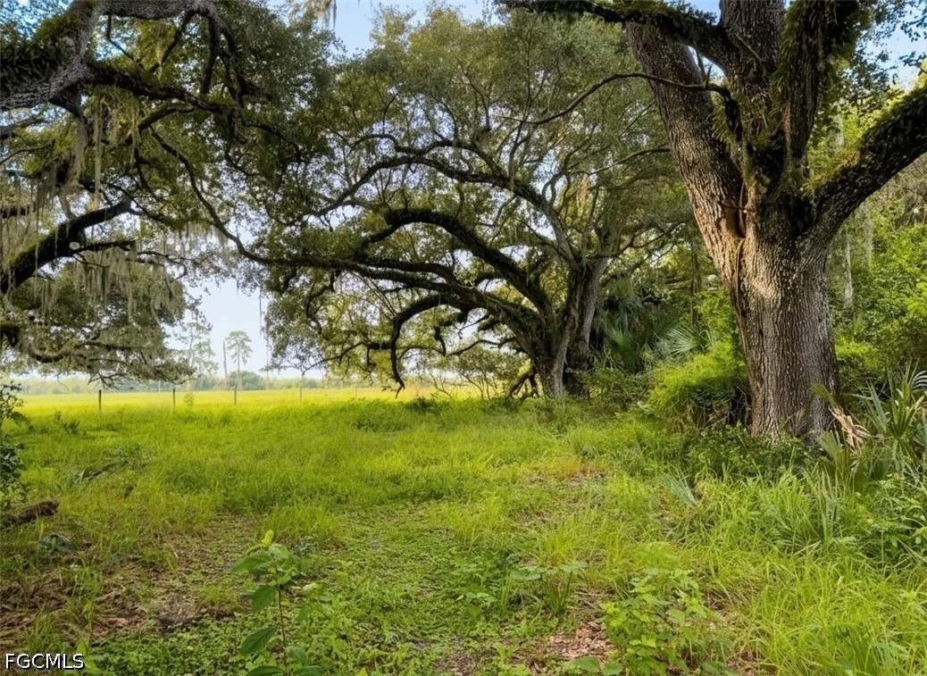 Photo of 3291 Fort Denaud Road
