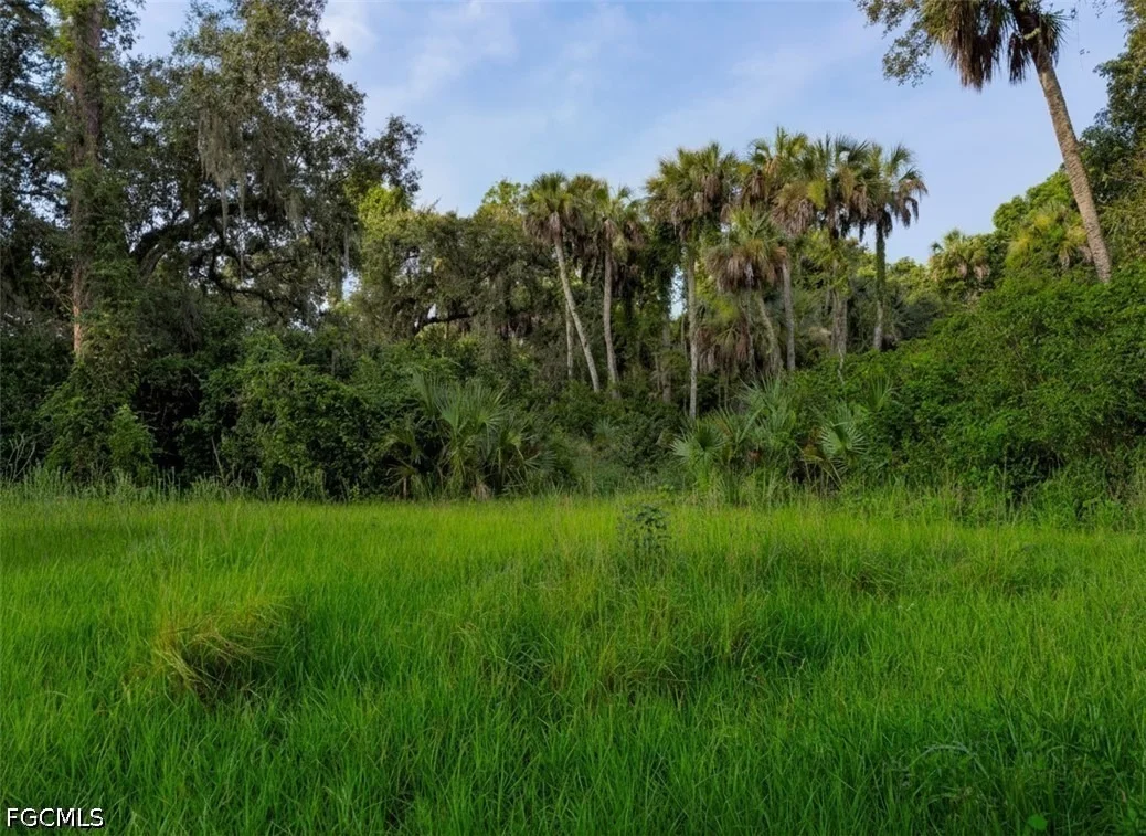 Photo of 3291 Fort Denaud Road