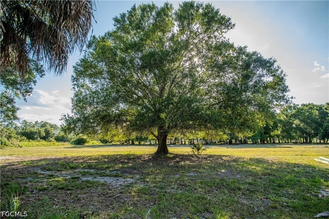 Photo of 3880 Packinghouse Road