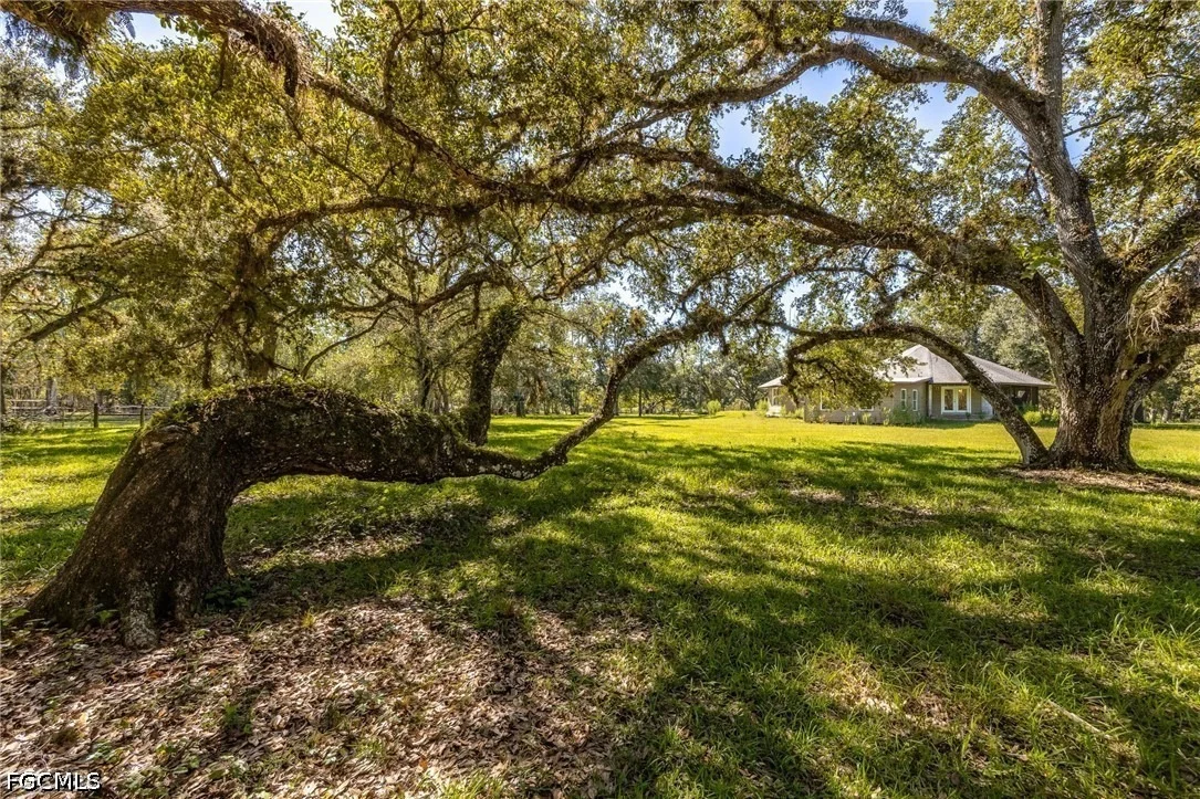 Photo of 2348 Nine Mile Road