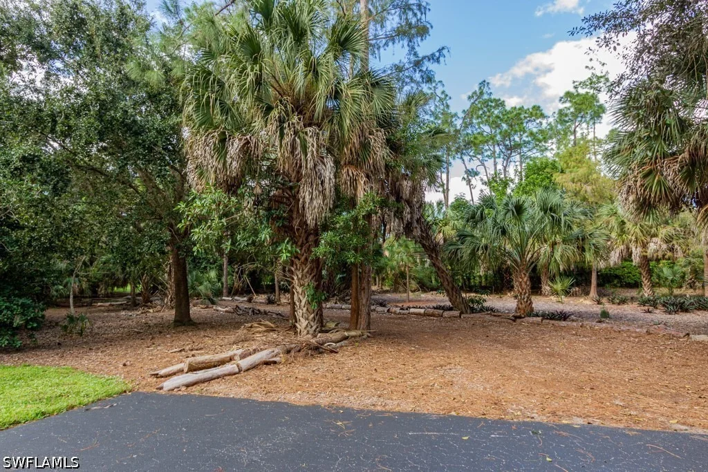 Photo of Unit 101 at 2103 Tama Circle
