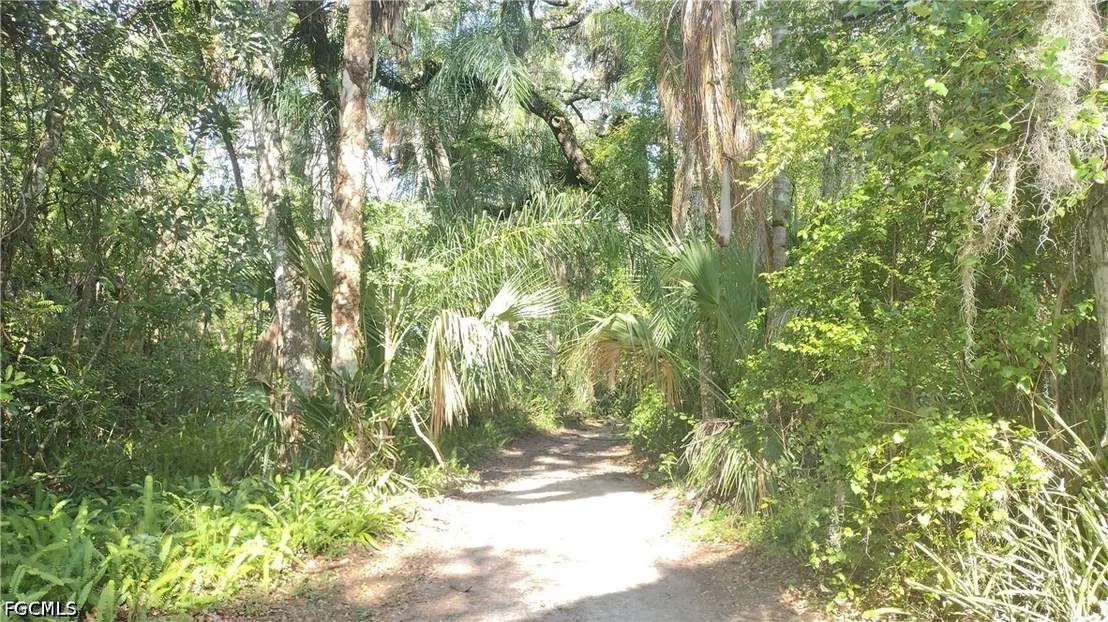 Photo of 1469 Coffee Mill Hammock Road