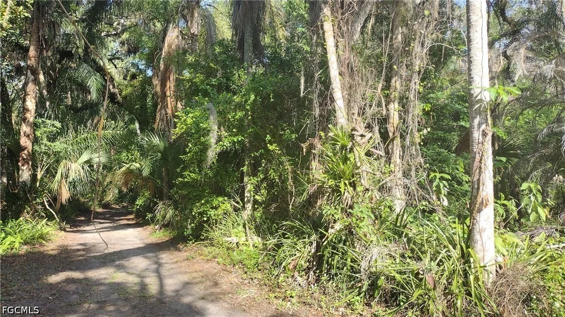 Photo of 1469 Coffee Mill Hammock Road