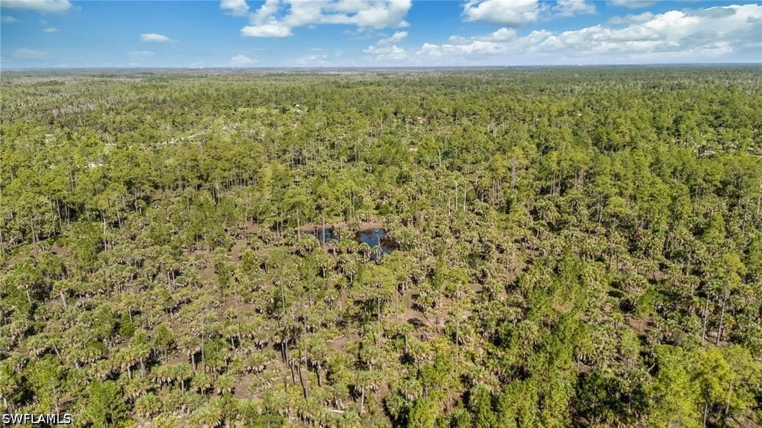 Photo of 6010 LEE WILLIAMS Road