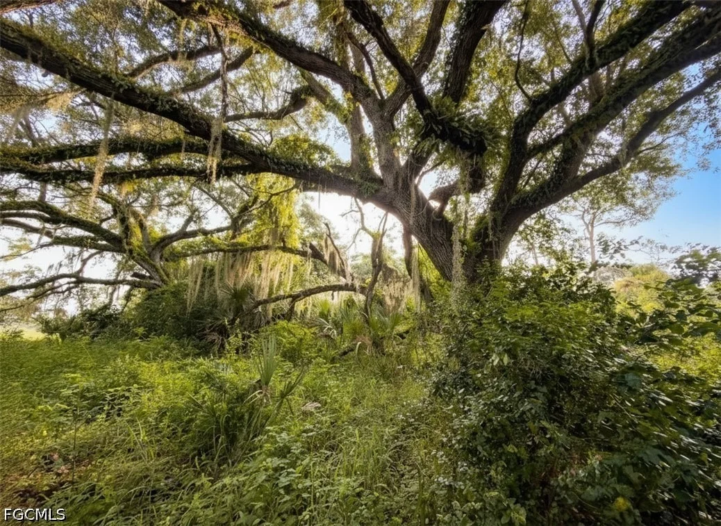 Photo of 3291 Fort Denaud Road