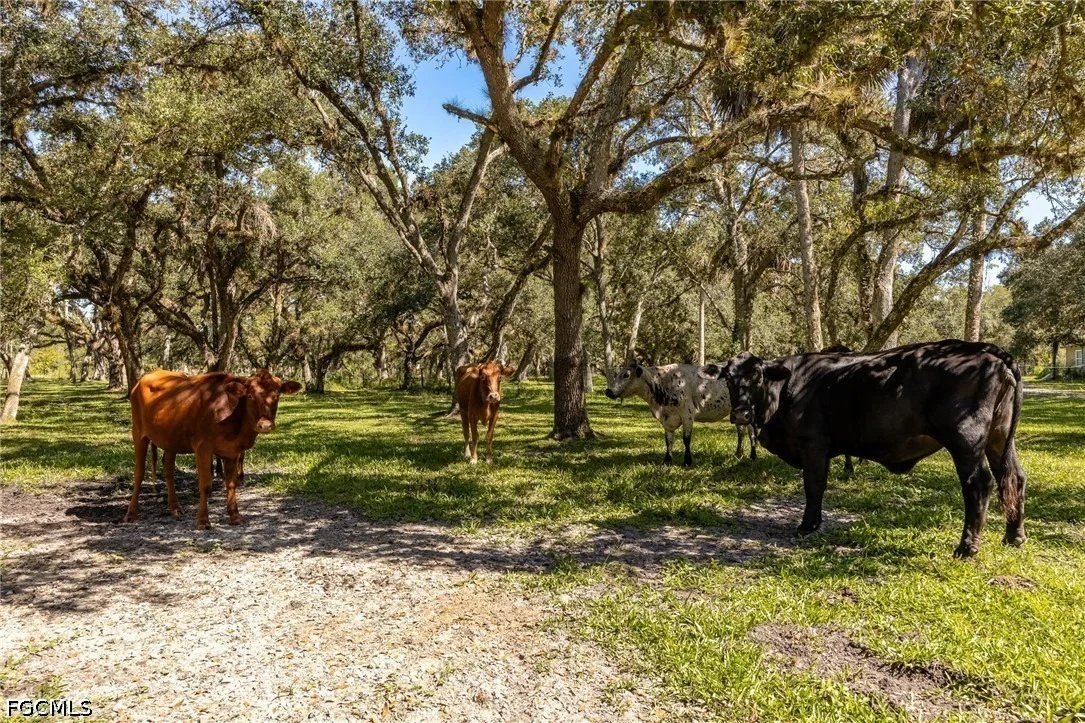 Photo of 2348 Nine Mile Road
