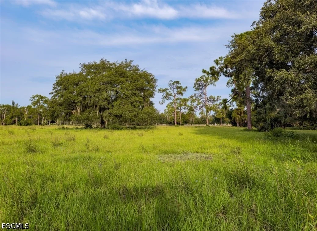 Photo of 3291 Fort Denaud Road