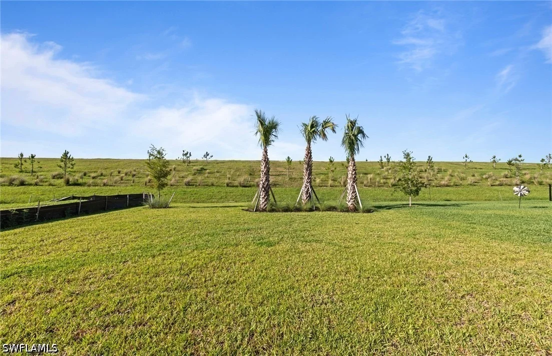 Photo of 3849 Passion Vine Drive