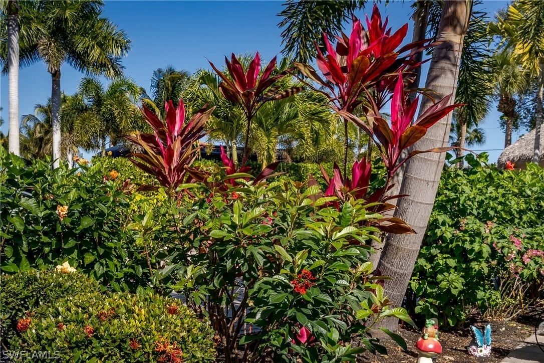 Photo of 13583 Snook Circle