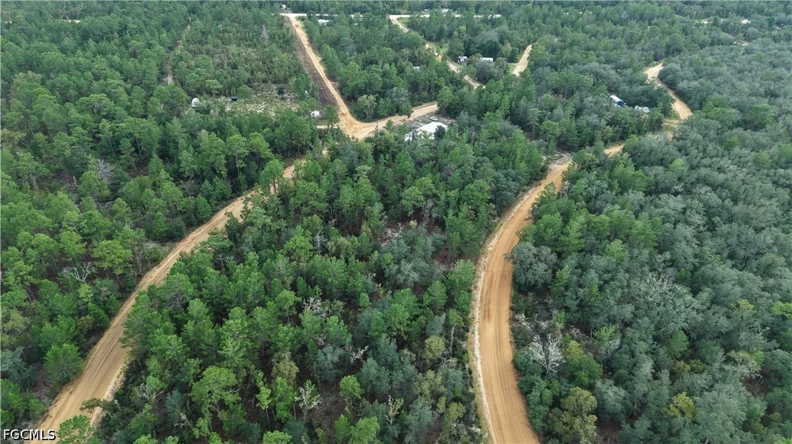 Photo of Crocus Ln