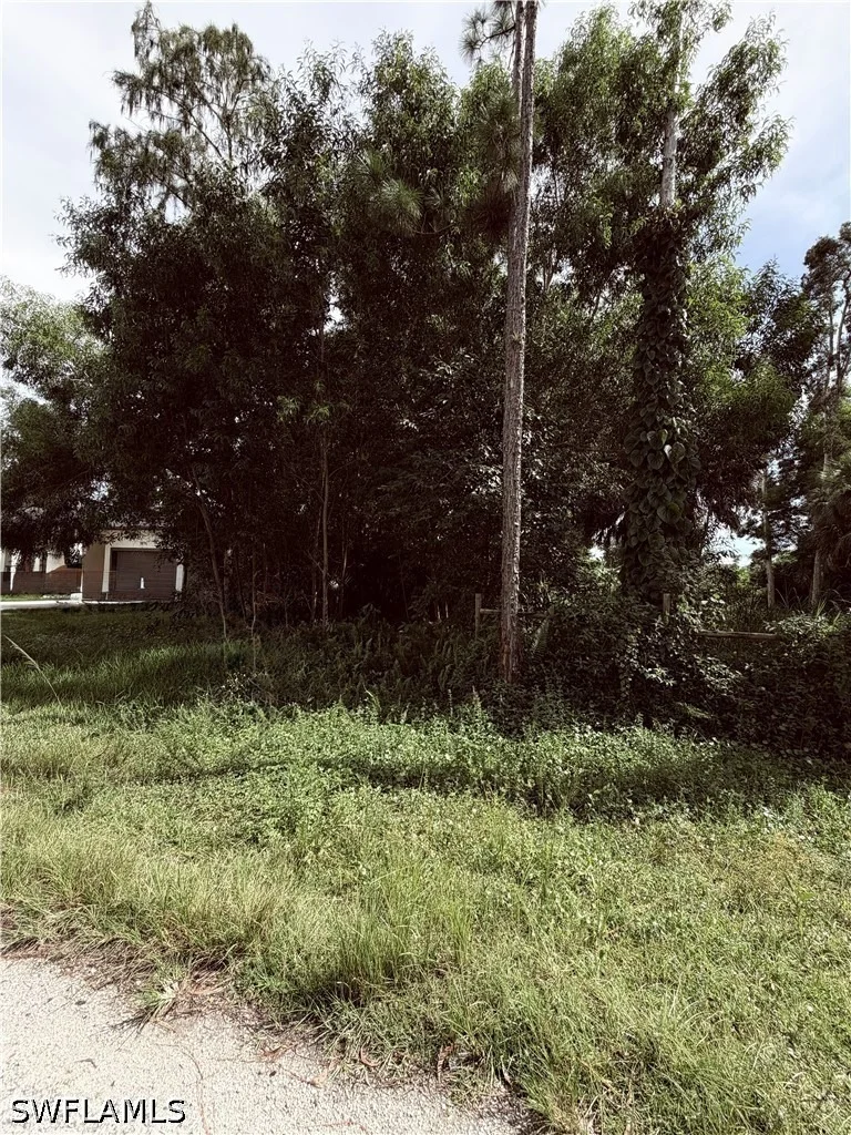 Photo of 3060 pinetree Drive