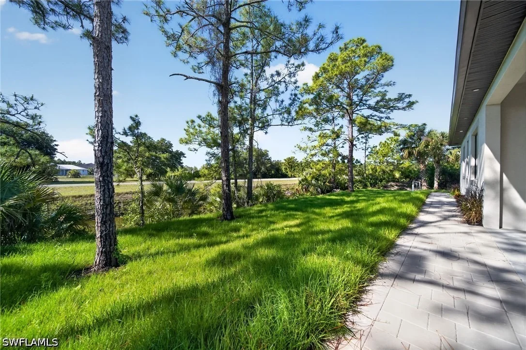 Photo of 2009 Dixie Way