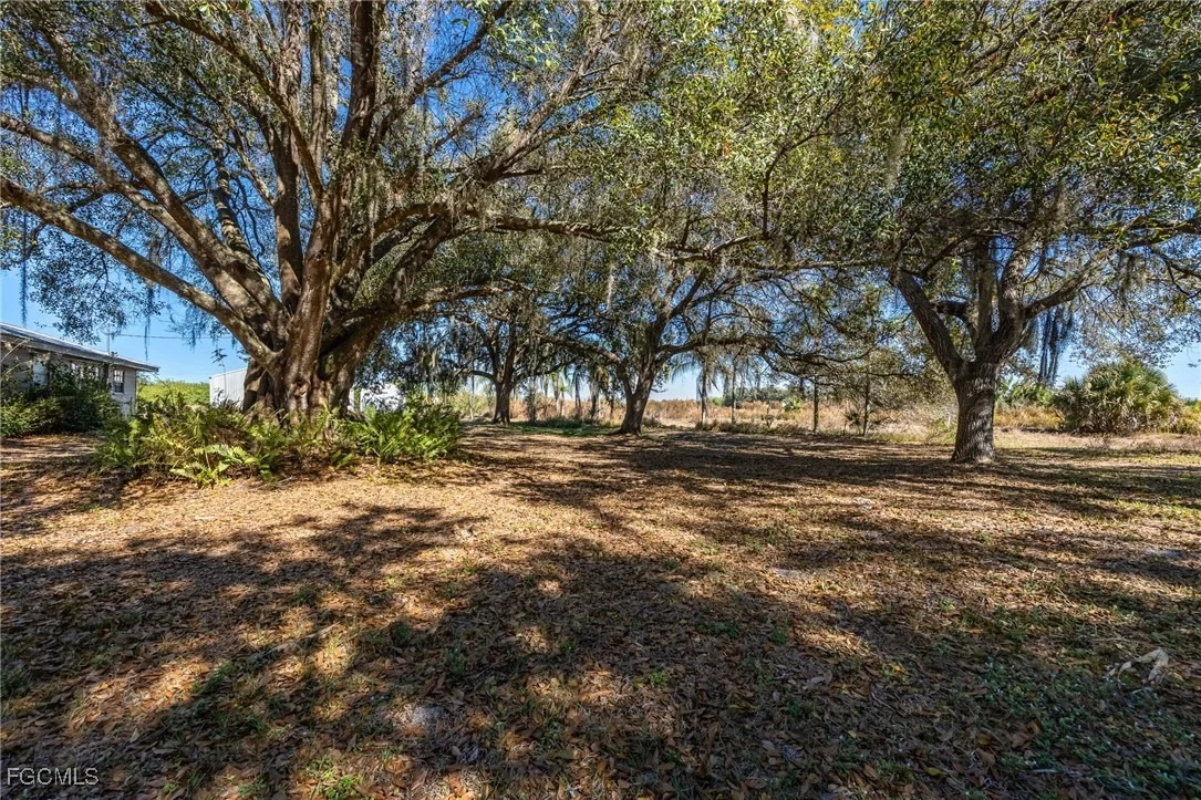 Photo of 990 Morris Taylor Road