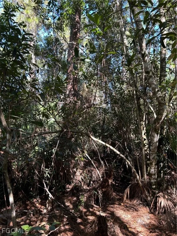 Photo of 