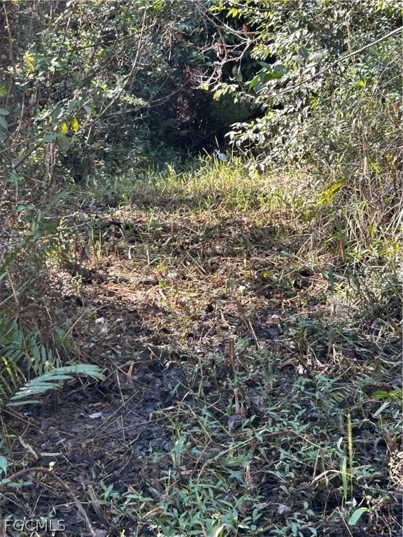 Photo of 