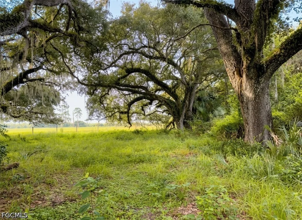 Photo of 3291 Fort Denaud Road