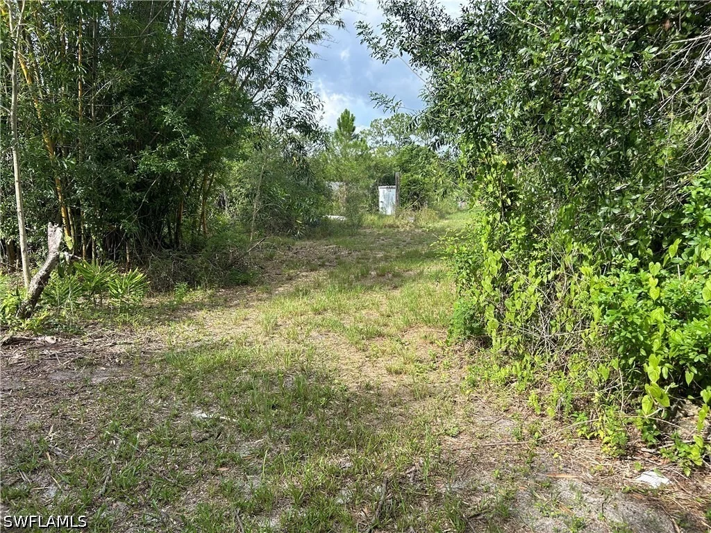 Photo of 1070 Limpkin Road