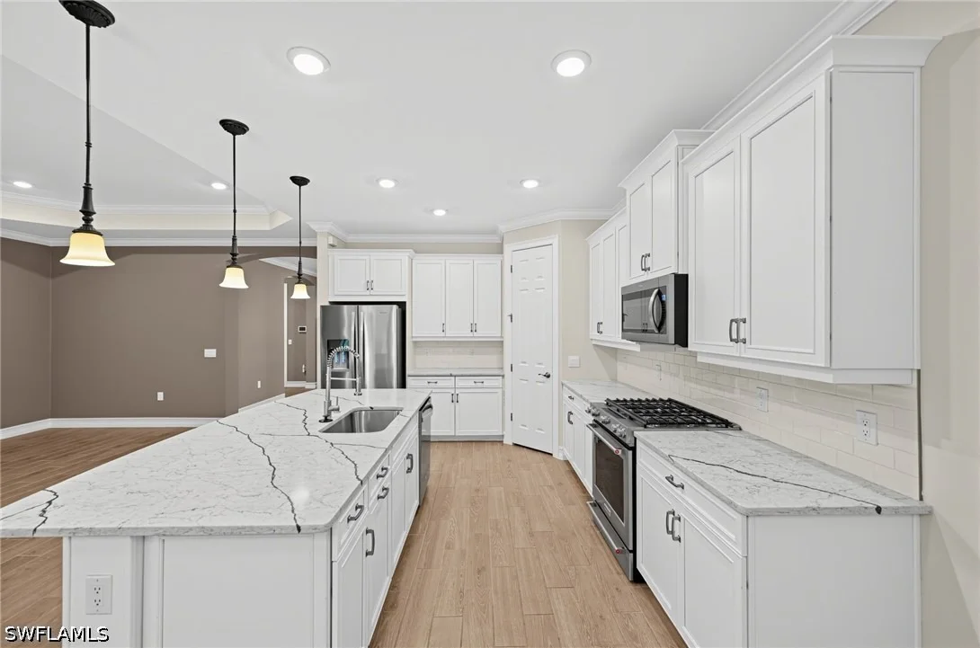 Photo of 18456 Royal Hammock Boulevard