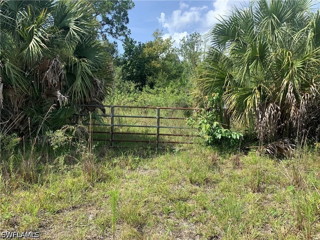 Photo of 1020 Limpkin Road