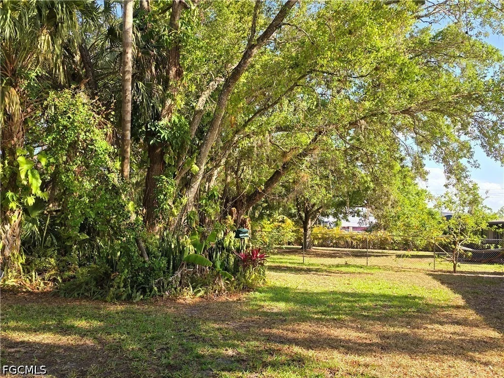 Photo of 75 Hardee Street
