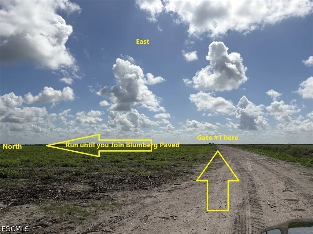 Photo of 19860 L1 Dike Road