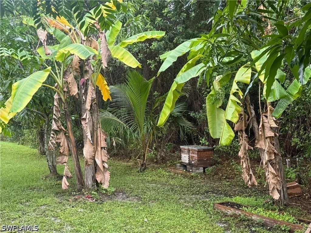Photo of 4775 Everglades Boulevard N