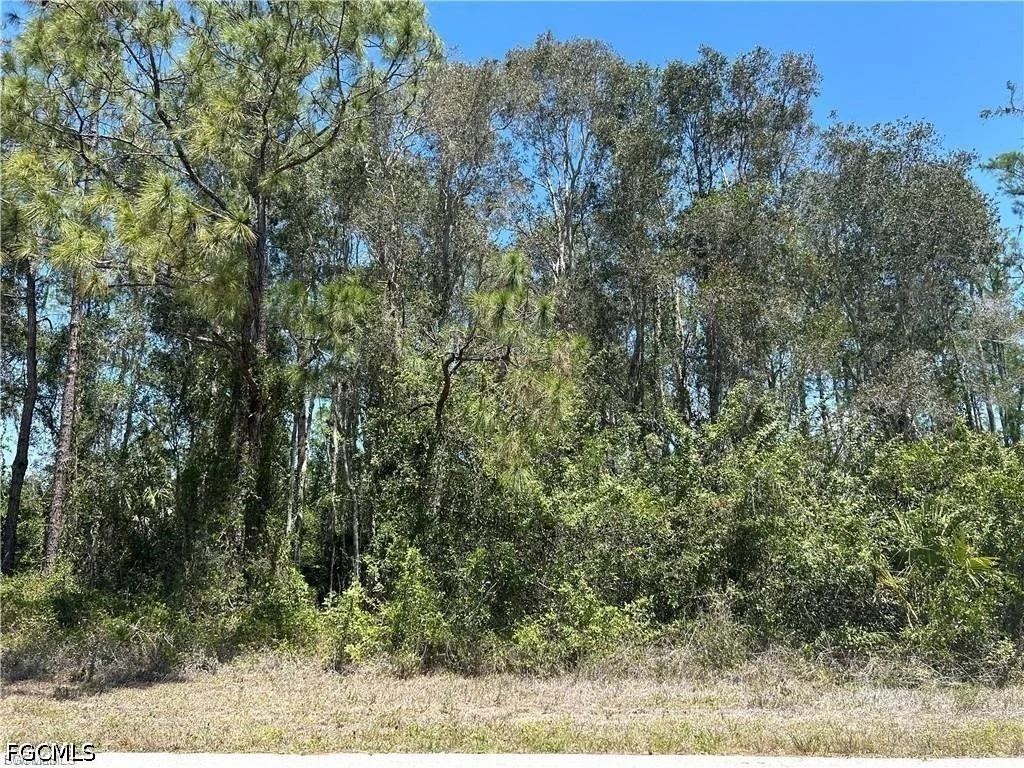 Photo of 665 Knapp Street