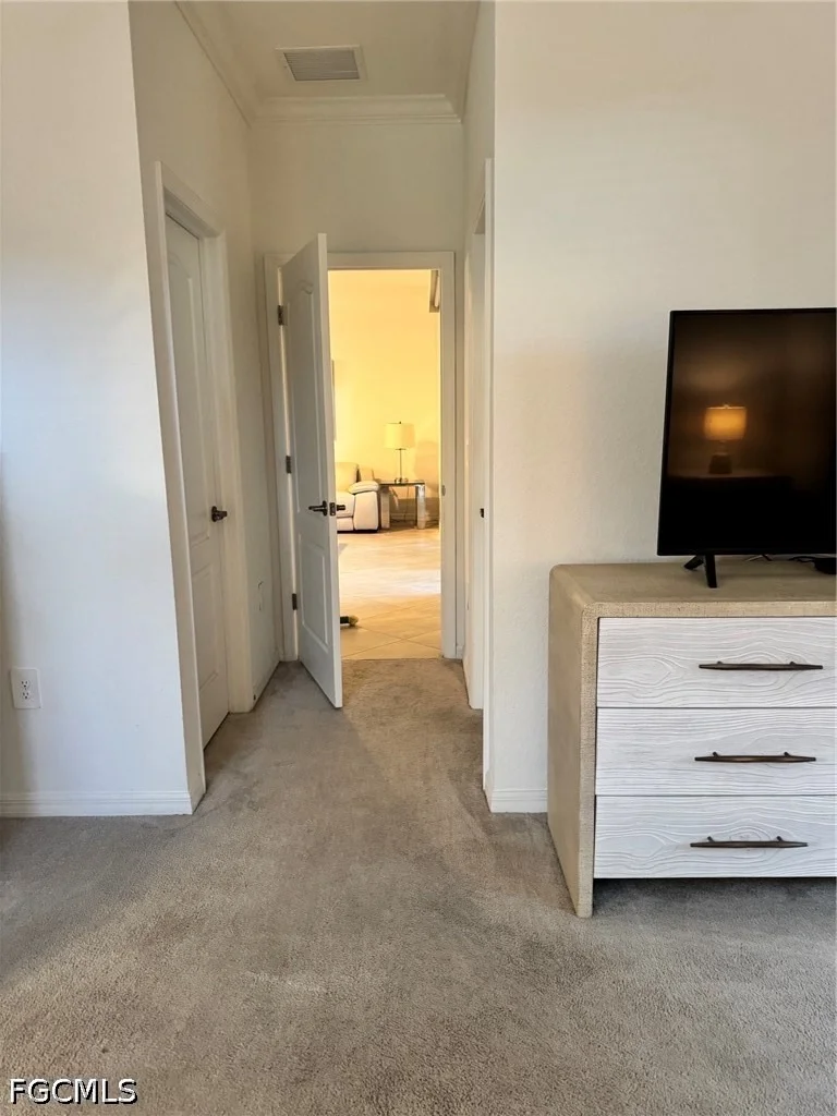 Photo of 16207 Bacopa Drive