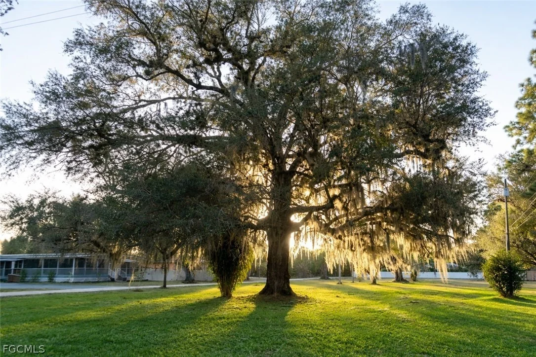 Photo of 2014 Fort Denaud Road