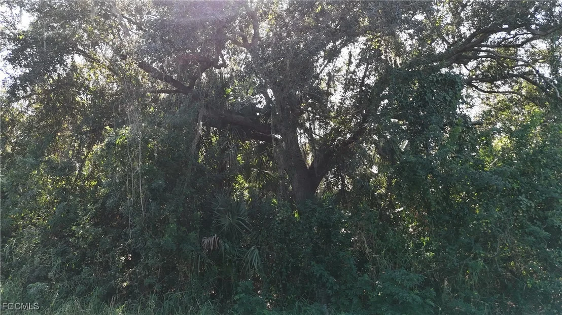 Photo of 29359 Nottingham Road
