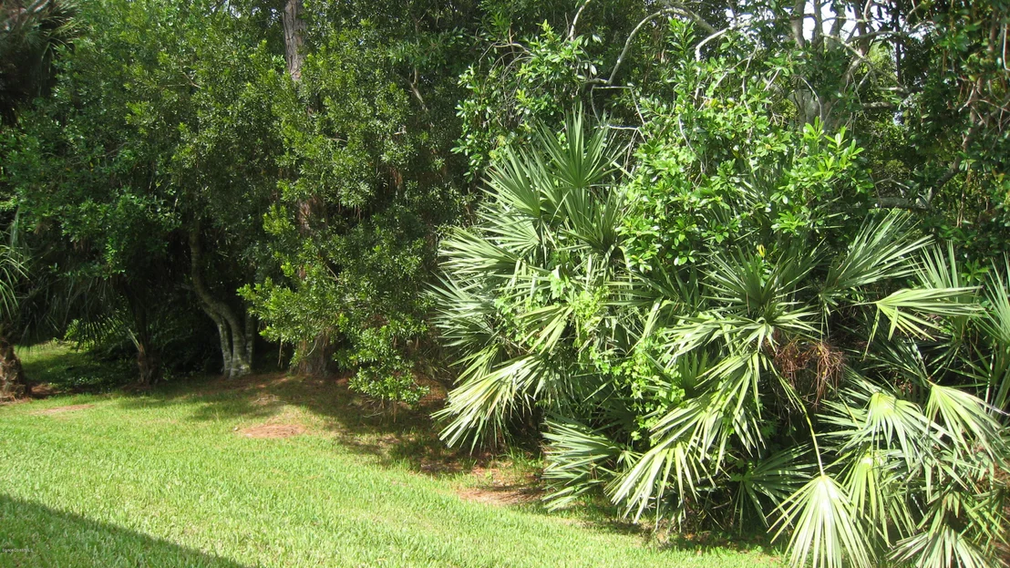 Photo of 1082 Wild Flower Drive