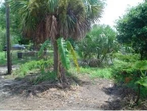 Photo of 6953 Dahlia Drive