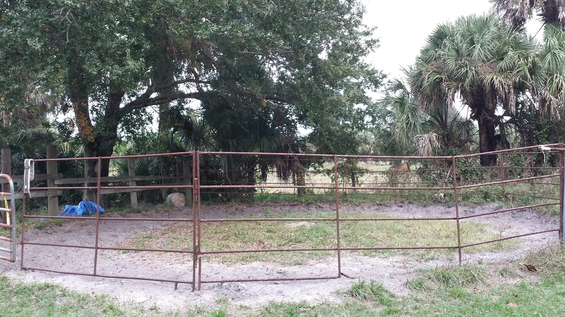 Photo of 6767 Laurel Oak Avenue