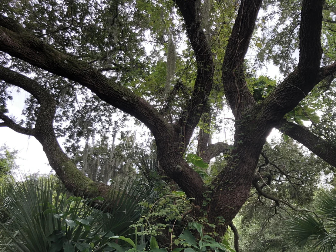 Photo of 5000 Gandy Road