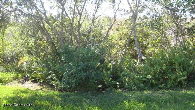Photo of 231 Mcclain Drive