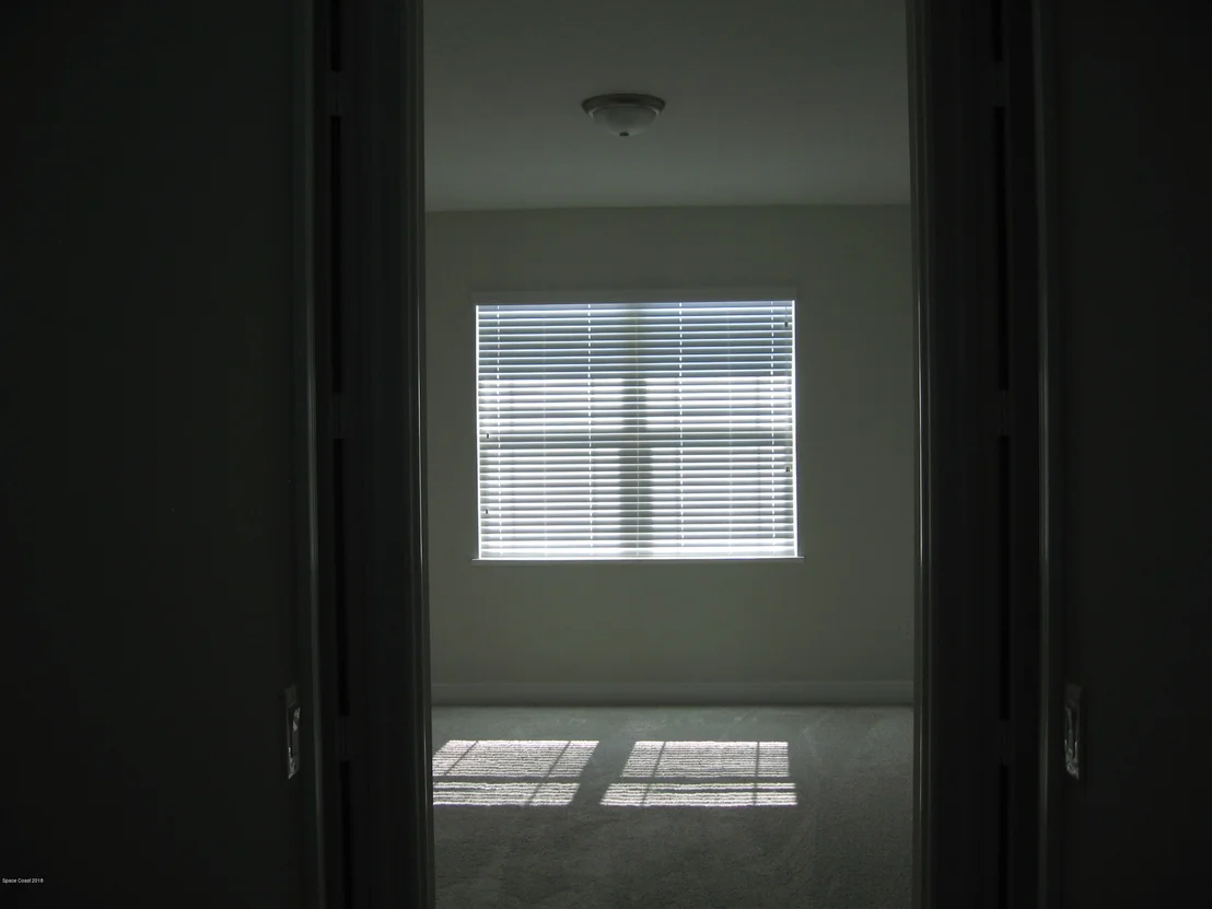 Photo of 912 Yearling