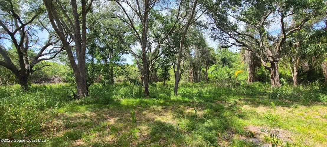 Photo of 920 Malabar Road