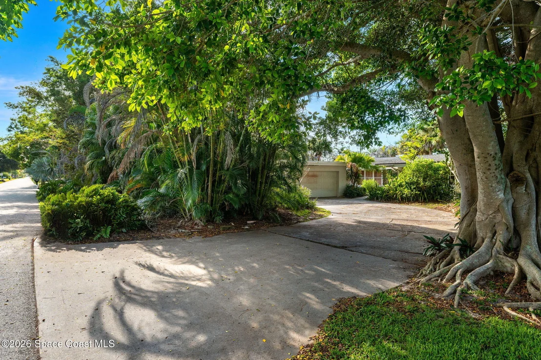 Photo of 317 Cocoa Avenue