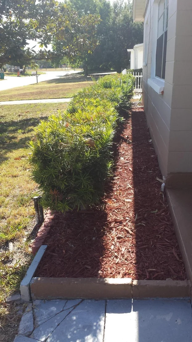 Photo of 2113 Shelby Drive