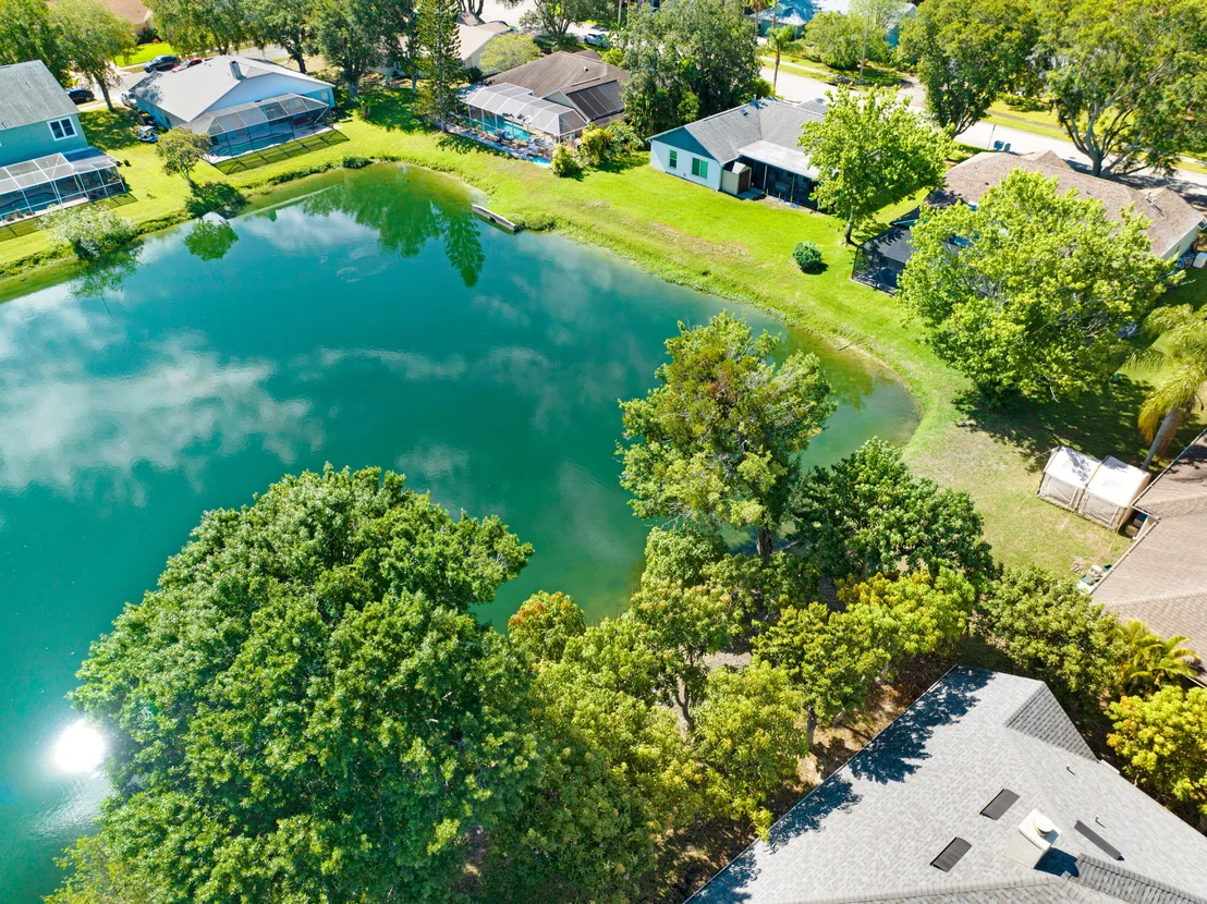 Photo of 1238 Weeping Willow Lane