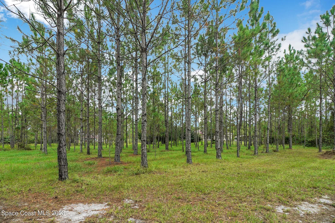 Photo of 1001 Shellcracker Road
