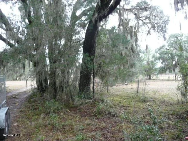 Photo of 780 Panther Path Way