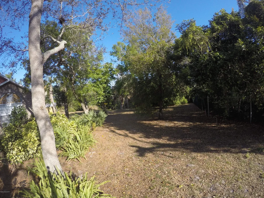 Photo of 1058 Tortoise